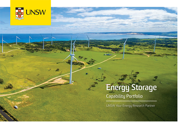 Energy-Storage-Capability-Portfolio